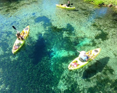 Kayak Rental in Homosassa