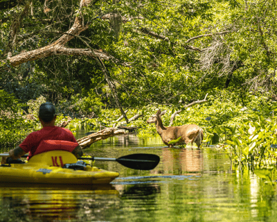 Shuttle Run Self-Guided Paddle From King's Landing to Wekiva Island