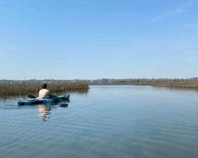 Masonboro Island Kayak Tour