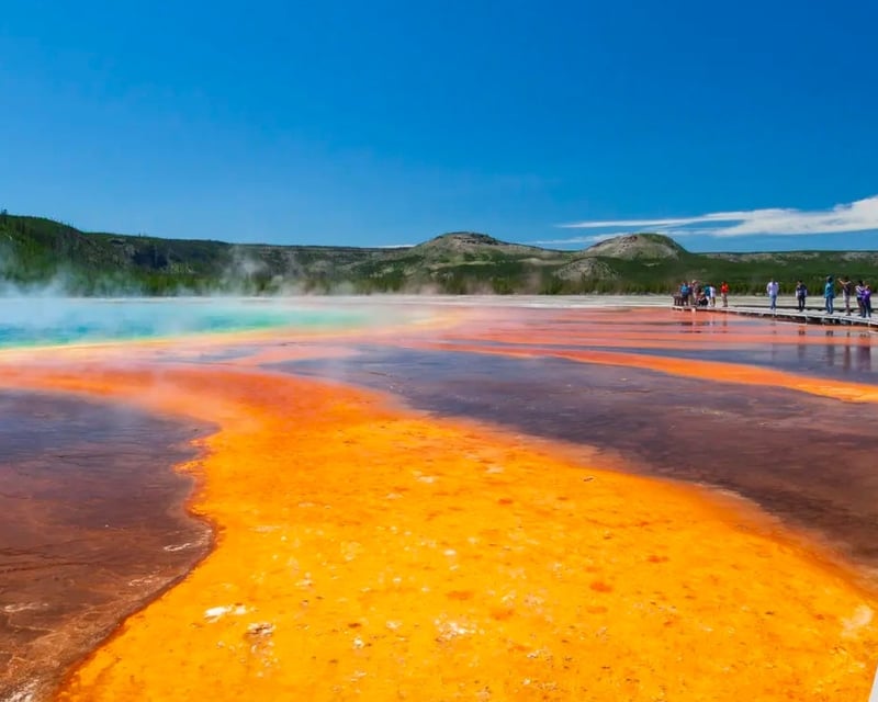 Full-Day Yellowstone National Park Guided Tour