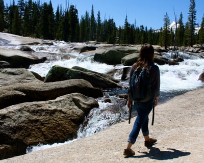 Tuolumne Meadows Naturalist Guided Tour