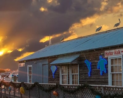 Key West Food Tour with Hemingway History