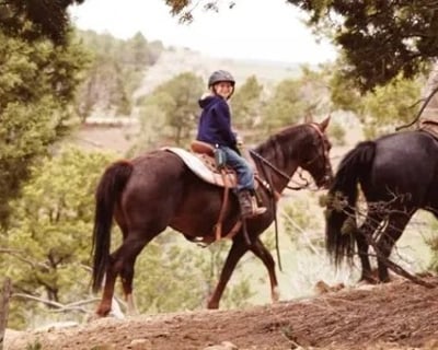 Mancos 1-Hour Ranch Horseback Ride