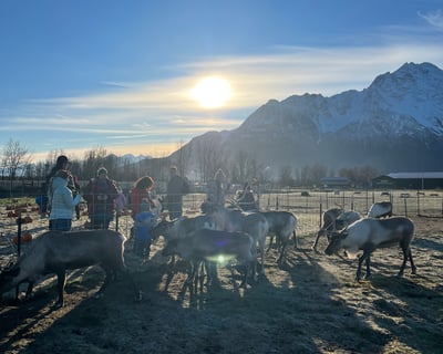 Guided Reindeer Farm Tour in Palmer