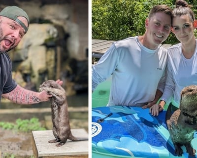 Meet & Swim With Otters in North Georgia