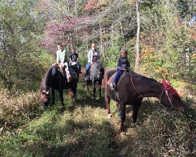 Four Seasons Trail Ride in New Plymouth