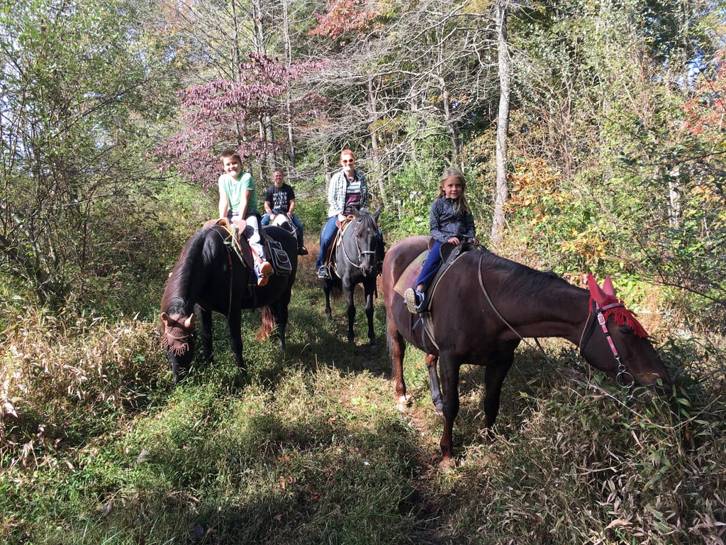 Four Seasons Trail Ride in New Plymouth