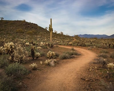 Ride a 4-Hour UTV Rental in Scottsdale