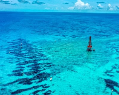 Snorkel Sombrero Reef & Sandbar Cruise in Marathon