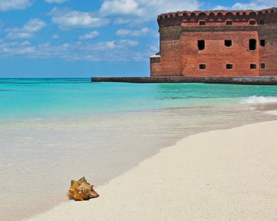 Full-Day Fort Jefferson & Dry Tortugas Charter