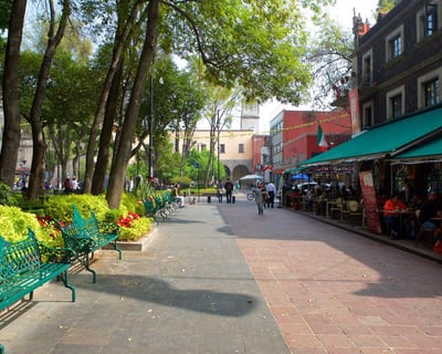 Frida Kahlo & Xochimilco Tour in Mexico City