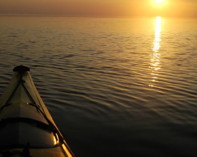 2-Hour Guided Kayak Tour in Duck
