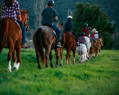 Private Santa Ynez River Horseback Trail Ride