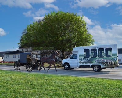 Amish Countryside Bus Tour with Farm and House Options