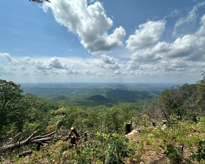 Guided ATV Tour for Experienced Riders in Pigeon Forge