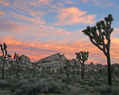 Hike to Bisbee Cross Shrine & Buddha Cave