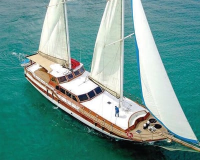 3-Hour Cruise in Cabo San Lucas