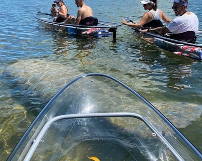 Guided Clear Kayak Eco-Tour in Marathon