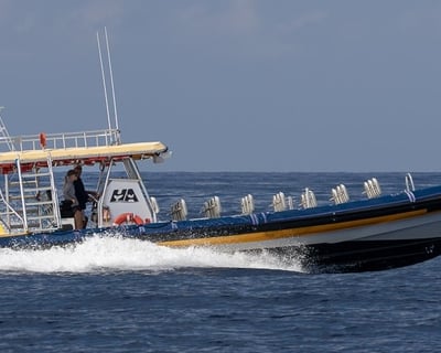 Kailua-Kona Whale Watching Cruise