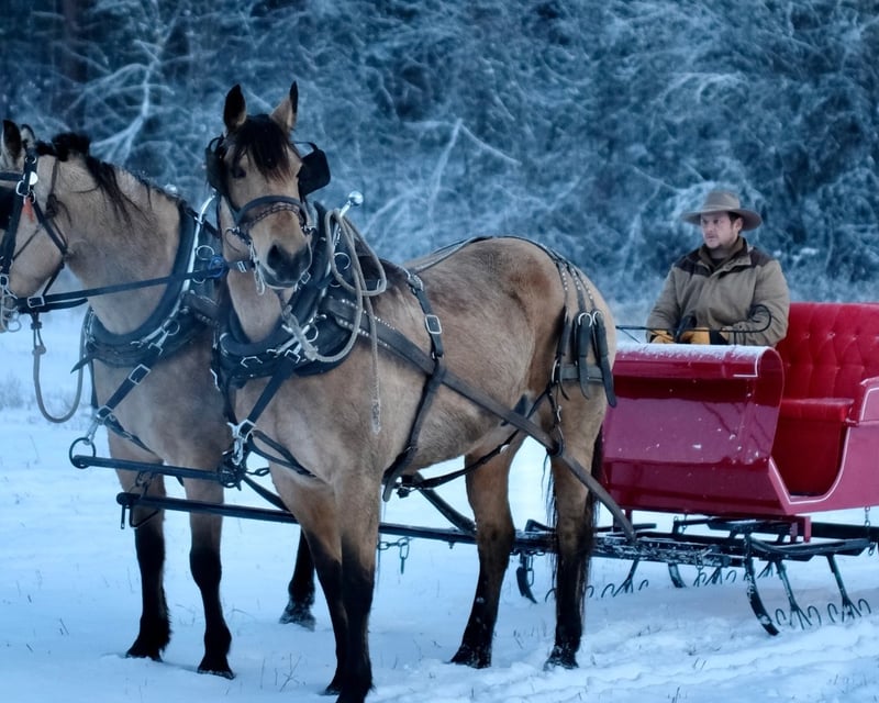 Private Cutter Sleigh Ride for Two in Leavenworth