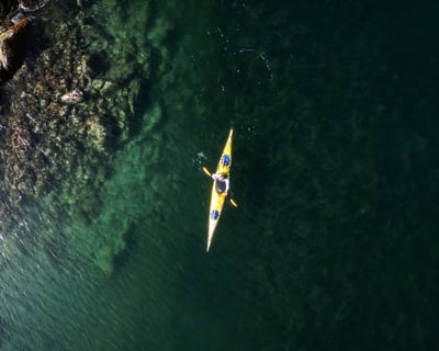 Guided Remote Kayaking Tour in Tofino Inlet