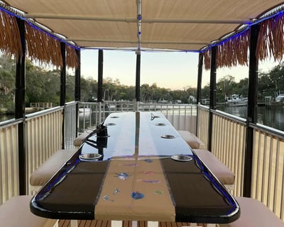 Full-Day Private Boat Charter in Tarpon Springs