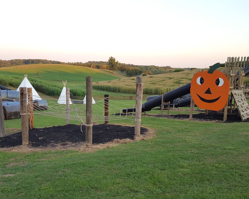 Fall Festival & Apple Picking Day Pass in Paris, OH