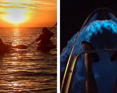 Clear Kayak Bioluminescence Tour in Titusville