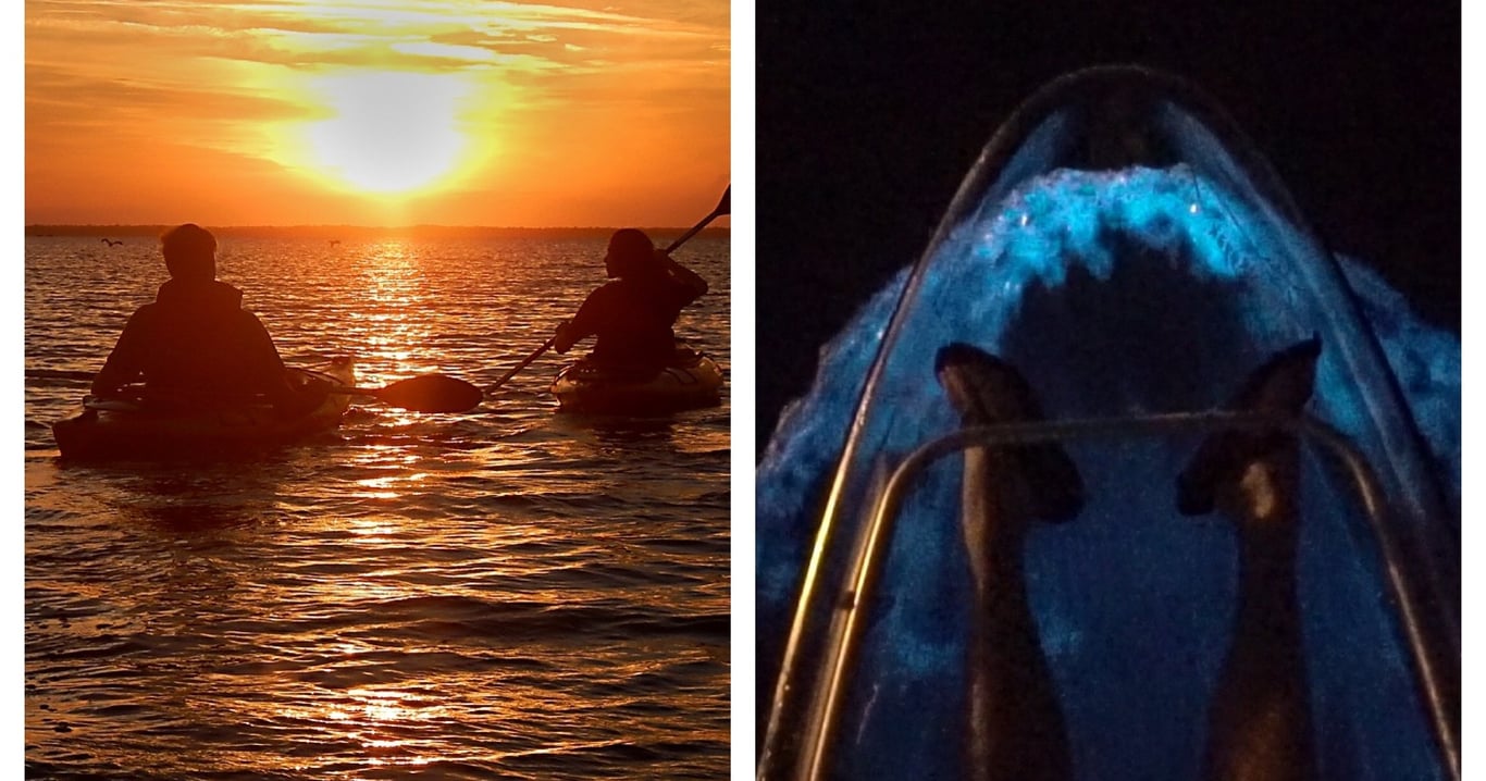 Clear Kayak Bioluminescence Tour in Titusville