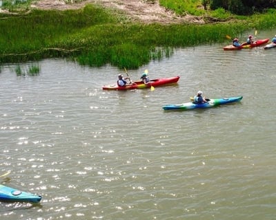 2-Hour Guided Kayak Eco Tour in Folly Beach