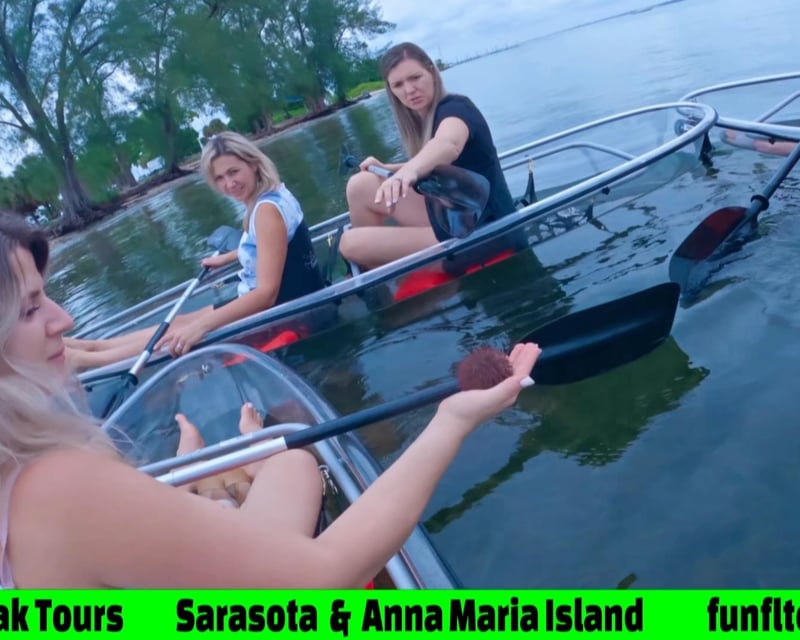 Guided Clear Kayak Tour on Anna Maria Island