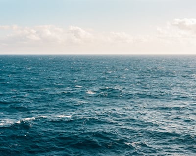 Private 4-Hour Cruise From Lovers Key State Park