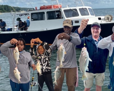 5-Hour Bottom Fishing Trip in Solomons