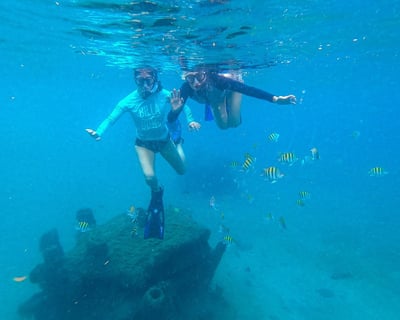 Guided Snorkel Tour at Blue Heron Bridge