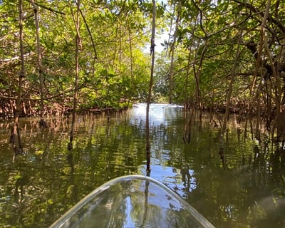 Round Island Clear Kayak Tour