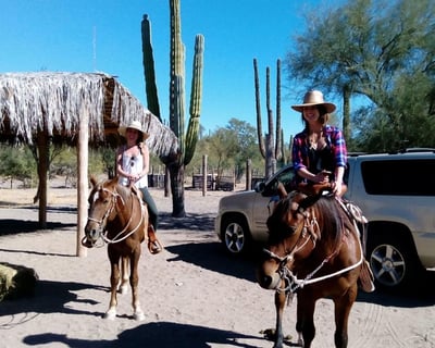 2.5-Hour Baja Desert Guided Horseback Ride