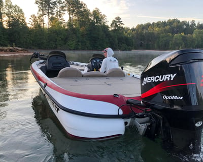 Fish a Half- or Full-Day Bass Charter in Western NC