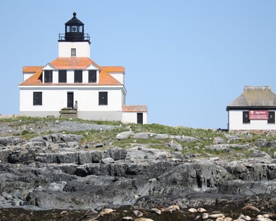 Lighthouse, Wildlife, and Acadia National Park Cruise