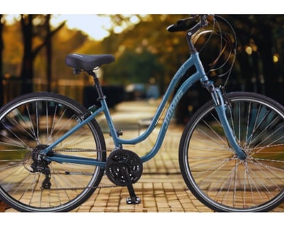 2-Day Bike Rental in Petoskey