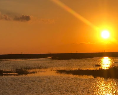 Everglades Sunset Airboat Tour