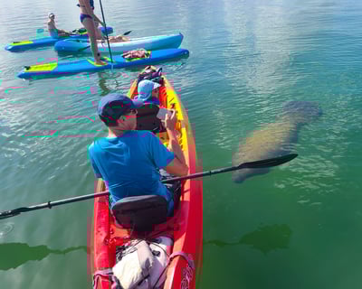 Sarasota Mangrove Kayak to Hidden Beach