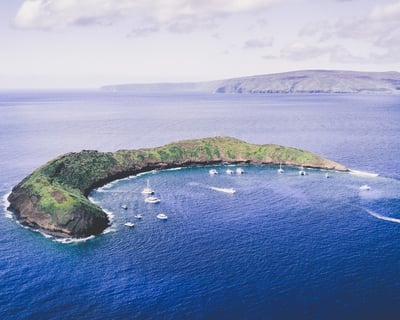 Molokini Backwall and Carthaginian Wreck 2-Tank Dive