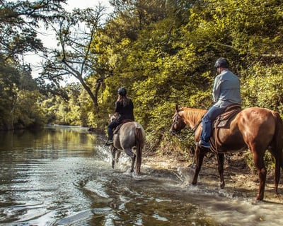 Fall/Winter Group Riding Lesson on the Trails