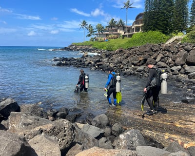 Explore Koloa Landing 2-Tank Shore Dive