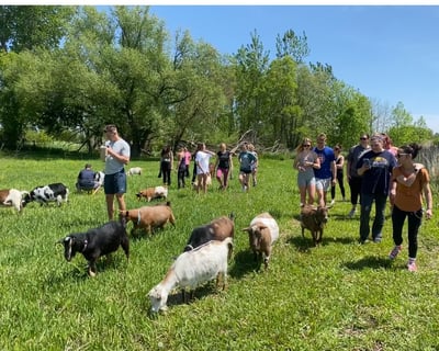 Goat Yoga & Farm Experience in Elgin