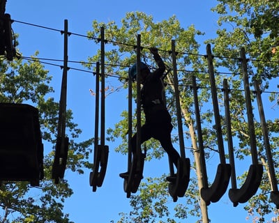 Geneva-on-the-Lake 8-Zipline Tour & Adventure Course