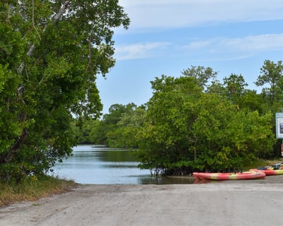 Biologist-Guided Kayak Tour of Rookery Bay