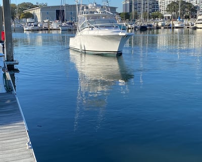 31-Foot Luhrs Private Charter in Virginia Beach