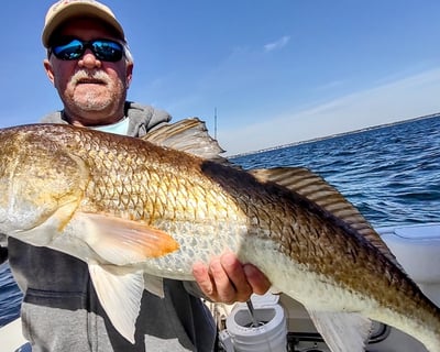 Pensacola Bay Inshore Fishing Charter