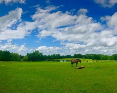 Endurance Ride in Romance